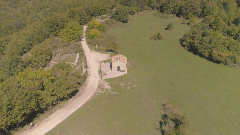 Faggio di San Francesco, tra Poggio Bustone e Piediluco 
